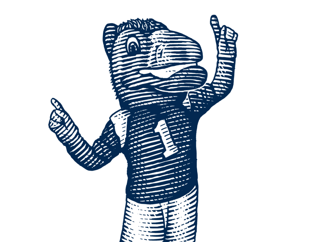 illustration of the uc davis mascot gunrock